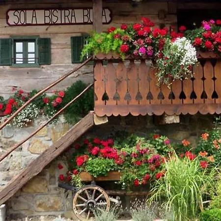 Дом отдыха Big Berry Kolpa Metlika - Luxury Natura House *